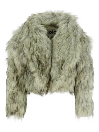 Molo Kids' "hyacinth" Jacket In Green