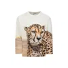 Molo Long-sleeved T-shirt In Ivory