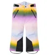 Molo Jump Pro Ski Pants In Multi