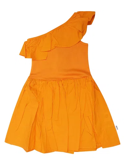Molo Junior 2s24e103 Cloey89.02 In Arancione