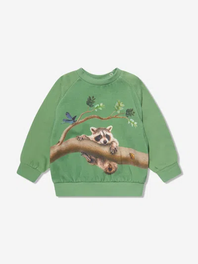 MOLO KIDS BRANCH LIVING SWEATSHIRT