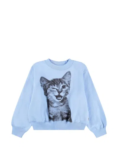 Molo Kitten-print Sweatshirt In Blue