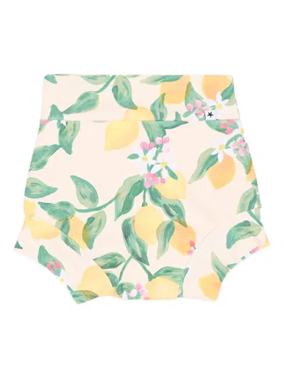 Molo Babies' Lemon-print Swimwear In Neutral