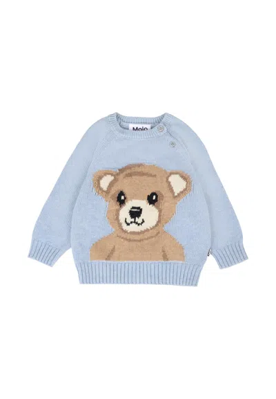Molo Light Blue Sweater For Baby Boy With Bear