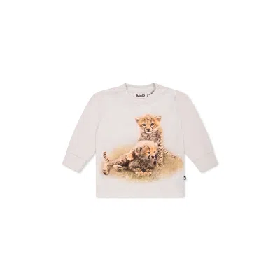 Molo Light Blue T-shirt For Babykids With Cheetah
