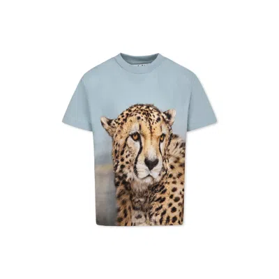 Molo Kids' Light Blue T-shirt For Boy With Cheetah