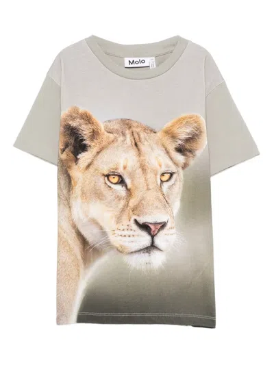 Molo Kids' Lion-print Cotton T-shirt In Gray