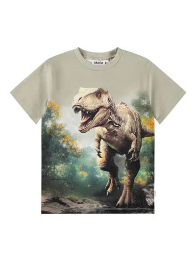 Molo Little Boy's & Boy's Riley Dinosaur T-shirt In Gray