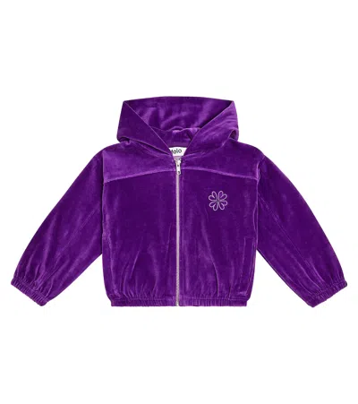 Molo Kids' Madeleine Cotton-blend Chenille Sweatshirt In Purple