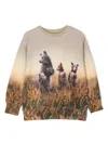 Molo Mattis Bear-print Sweatshirt In Neutrals