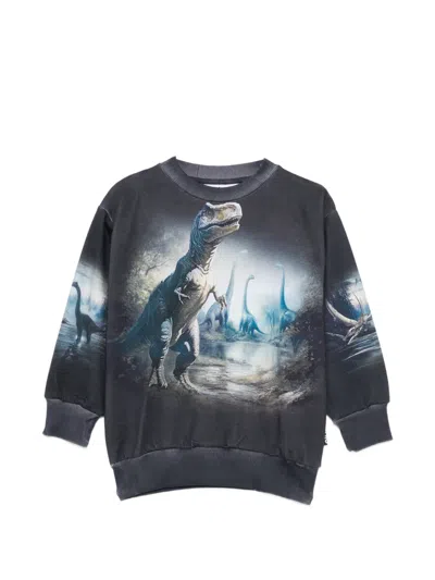 Molo Kids' Mattis Dinosaur-print Sweater In Blue