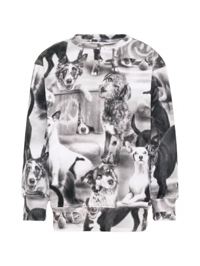 Molo Kids' Mattis Dog-print Sweatshirt In Black