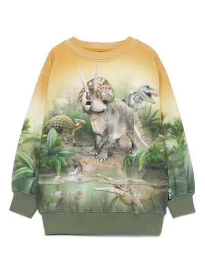 Molo Kids' Mattis Sweatshirt In 绿色
