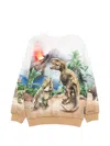Molo Miksi Sweatshirt In Multi