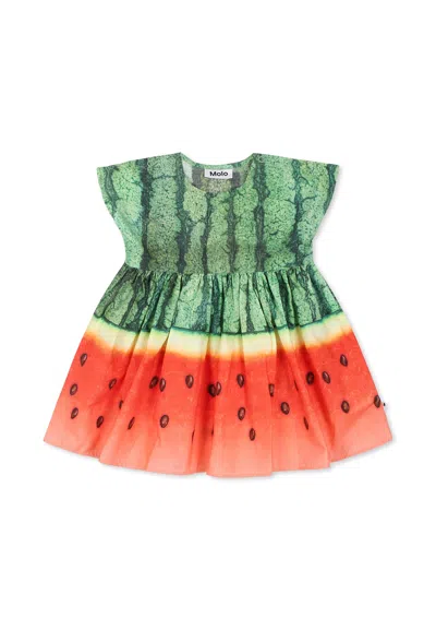 Molo Multicolor Dress For Baby Girl With Watermelon Print