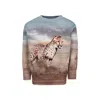 Molo Multicolor Sweatshirt For Boy With Cheetah In Multicolor