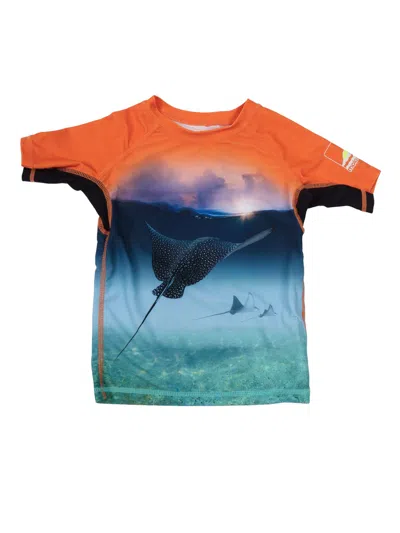 Molo Neptune T-shirts & Tops In Multi