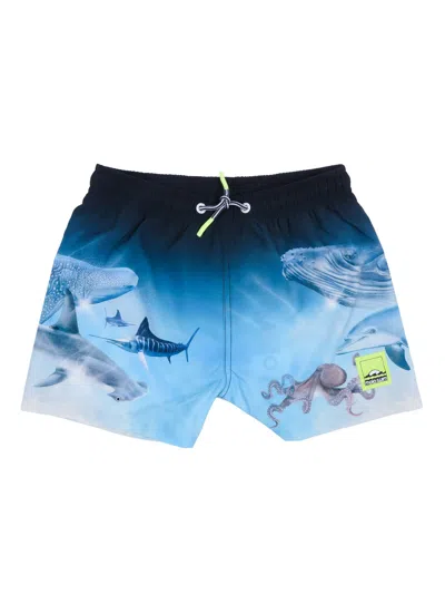 Molo Niko Boardies In Blue
