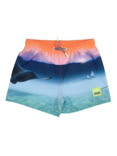 Molo Niko Boardies In Multi