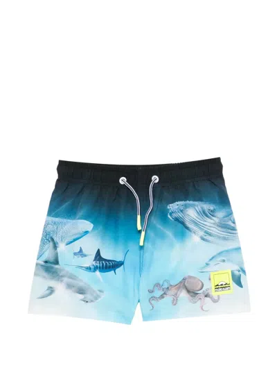 Molo Kids' Niko Sea-print Swim Shorts In Blue