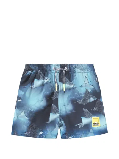 Molo Kids' Niko Swim Shorts In Blue