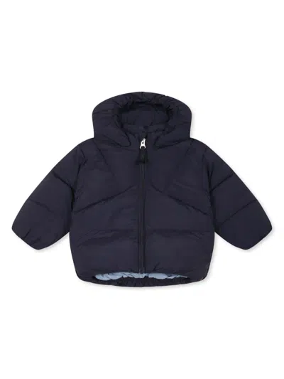 Molo Babies' Padded Jacket In Blue