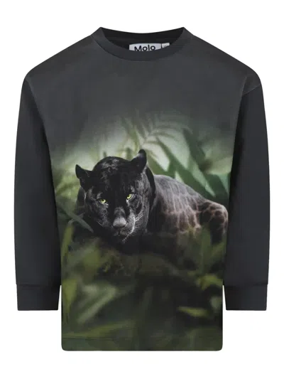 Molo Kids' Panther Sweatshirt In Grey