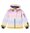 Molo Pearson Hooded Ski Jacket In Multi