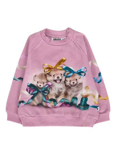 Molo Babies' Puppy-print Ribbons Sweatshirt In Pink