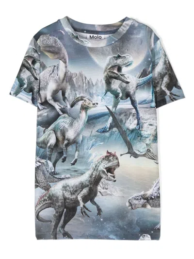 Molo Kids' Ralphie Dino Verse T-shirt In Gray