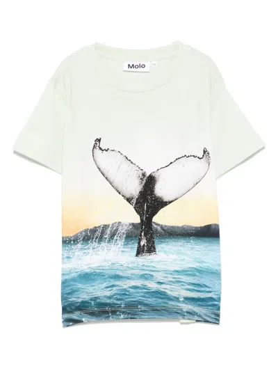 Molo Kids' Rame T-shirt In Green