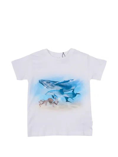 Molo Kids' Raul Ocean-print Short-sleeve T-shirt In White