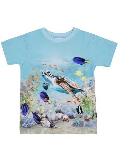 Molo Kids' Raul Short Sleeves T-shirt In Blue