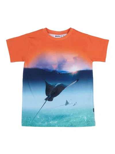 Molo Kids'  Raul T-shirts Short Sleeves In Multi