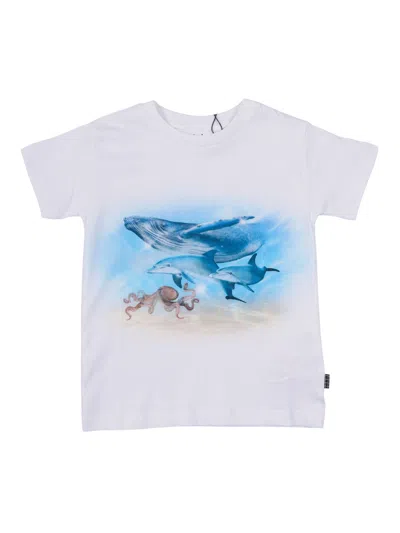 Molo Kids'  Raul T-shirts Short Sleeves In White