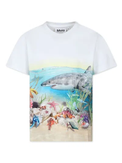 Molo Raveno T-shirt In White