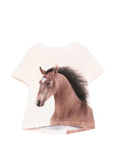 Molo Kids' Rie Horse-print T-shirt In Pink
