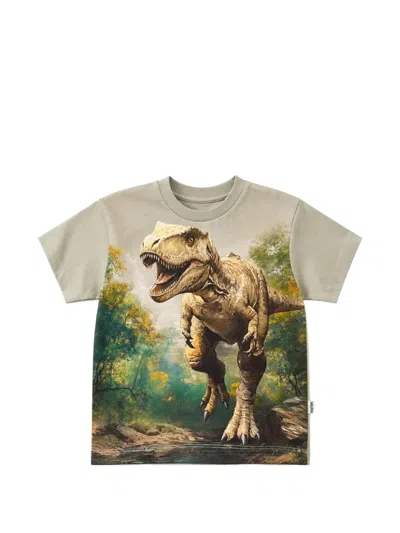 Molo Kids' Riley Leafy Rex T-shirt In Multi