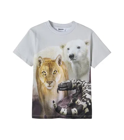 Molo Riley Printed Cotton Jersey T-shirt In Gray
