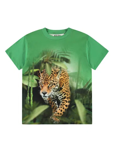 Molo Kids' Riley T-shirt In Green