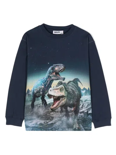 Molo Kids' Rube Organic-cotton Sweatshirt In Playing Dinos
