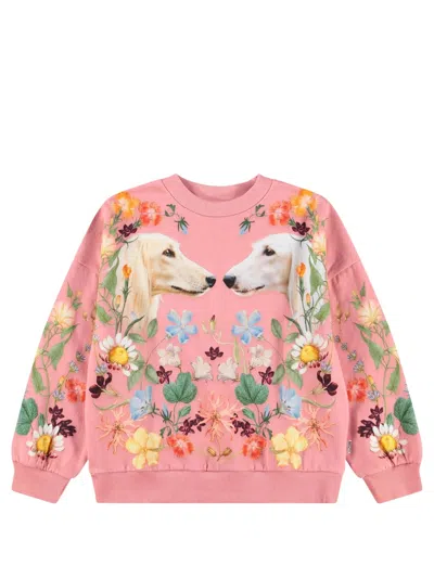 Molo Sweatshirt Afghan Hounds In Beige