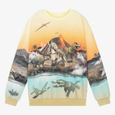 Molo Teen Boys Yellow Cotton Dinosaur Sweatshirt