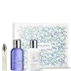 Molton Brown Bluebell & Wild Strawberry Travel Collection