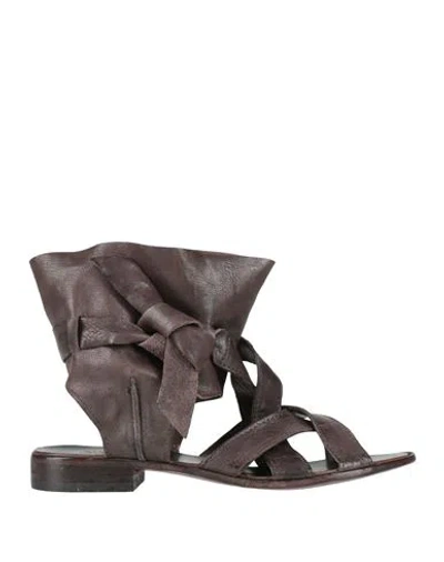 Moma Woman Sandals Dark Brown Size 8 Leather