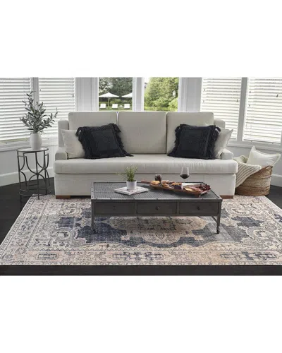 Momeni Chandler Traditional Medallion Rug In Gray