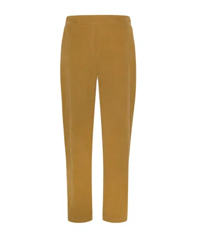 Momoní Yoko Pinstripe Velvet Pants In Brown