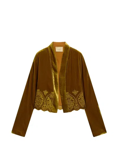 Momoní Asa Spencer Embroidered Velvet Jacket In Brown