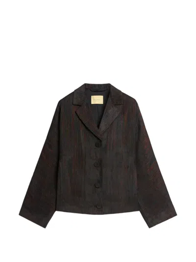 Momoní Nisi Cropped Blazer In Brown