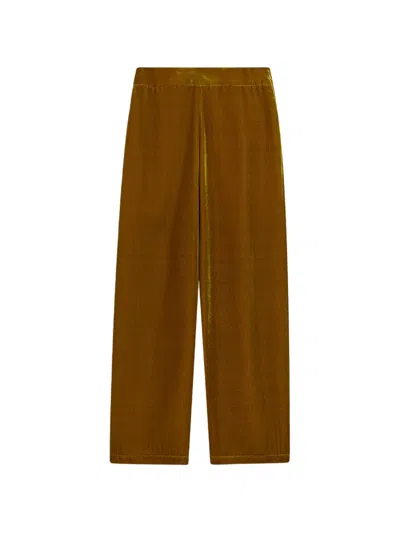 Momoní Pascal Pleated Velvet Trousers In Brown